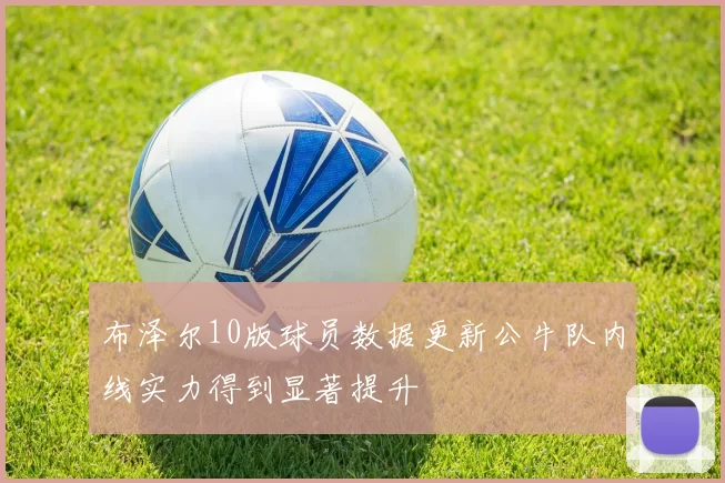 布泽尔10版球员数据更新公牛队内线实力得到显著提升