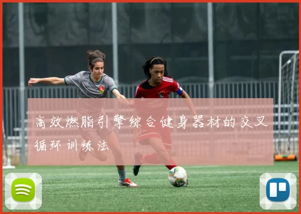 高效燃脂引擎综合健身器材的交叉循环训练法