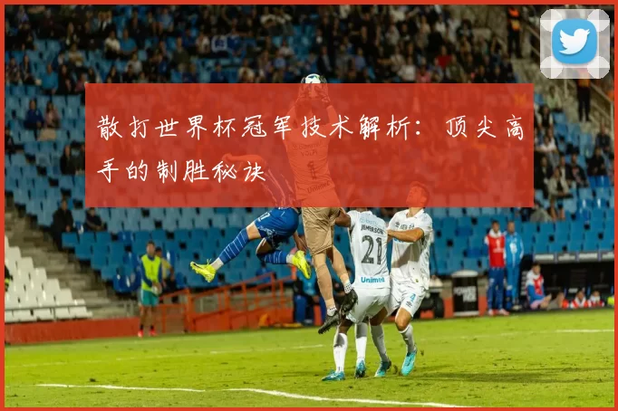 散打世界杯冠军技术解析：顶尖高手的制胜秘诀