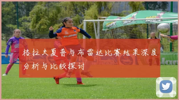 格拉夫夏普与布雷达比赛结果深度分析与比较探讨