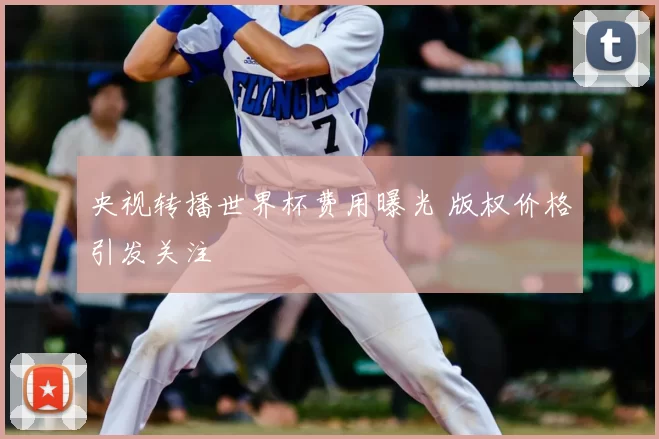 央视转播世界杯费用曝光 版权价格引发关注