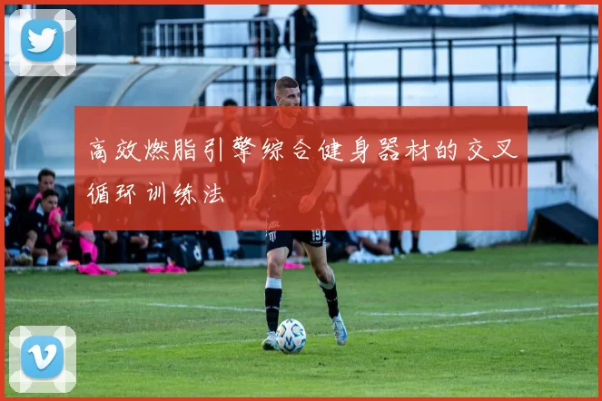 高效燃脂引擎综合健身器材的交叉循环训练法