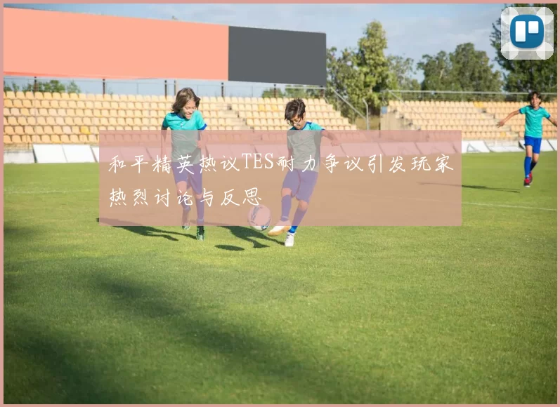 和平精英热议TES耐力争议引发玩家热烈讨论与反思