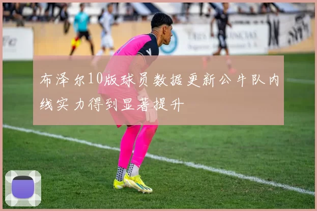 布泽尔10版球员数据更新公牛队内线实力得到显著提升