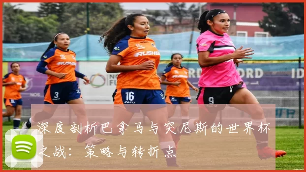 深度剖析巴拿马与突尼斯的世界杯之战:策略与转折点