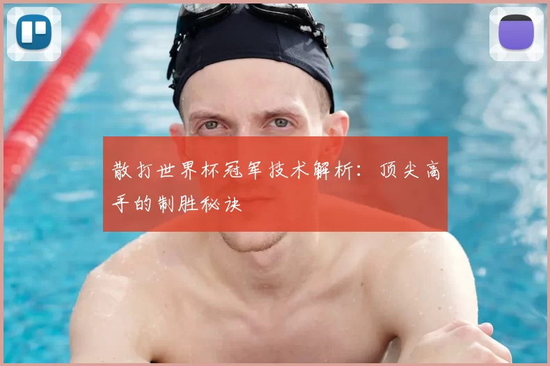 散打世界杯冠军技术解析:顶尖高手的制胜秘诀