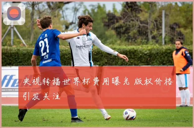 央视转播世界杯费用曝光 版权价格引发关注