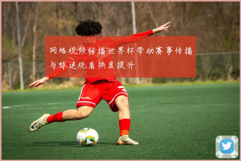 网络视频转播世界杯带动赛事传播与球迷观看热度提升