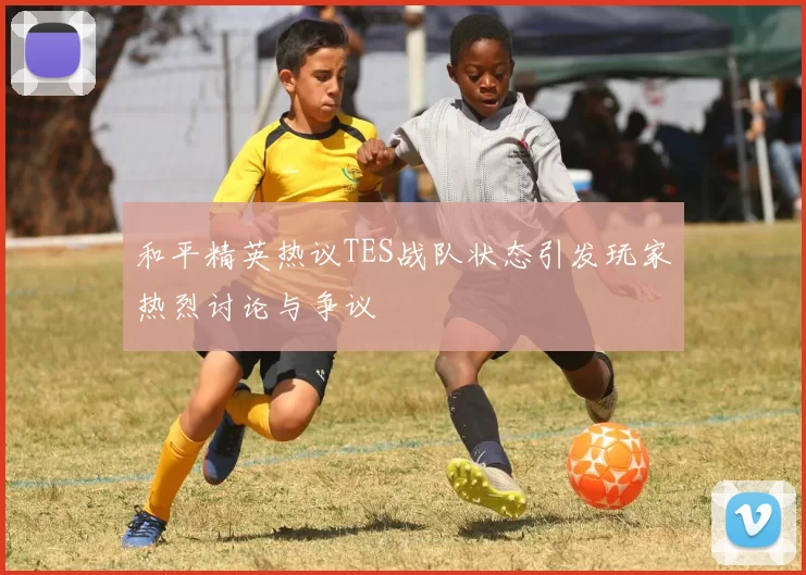 和平精英热议TES战队状态引发玩家热烈讨论与争议
