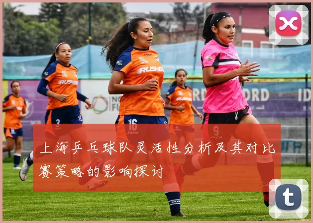 上海乒乓球队灵活性分析及其对比赛策略的影响探讨