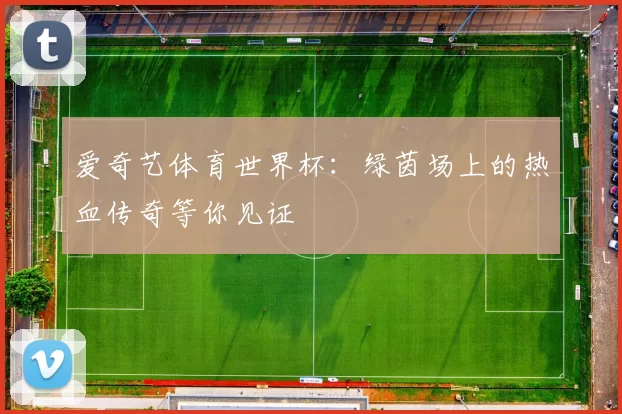 爱奇艺体育世界杯:绿茵场上的热血传奇等你见证