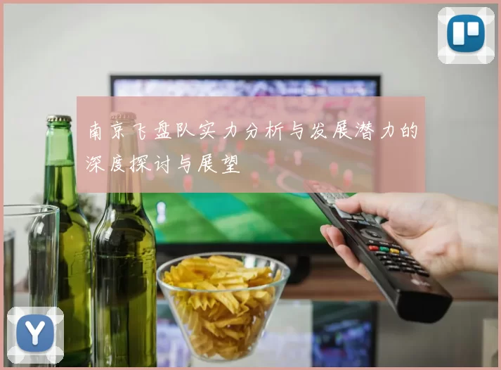 南京飞盘队实力分析与发展潜力的深度探讨与展望