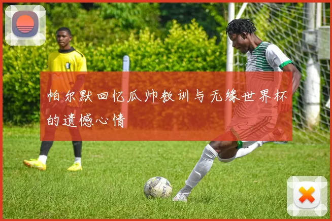 帕尔默回忆瓜帅教训与无缘世界杯的遗憾心情