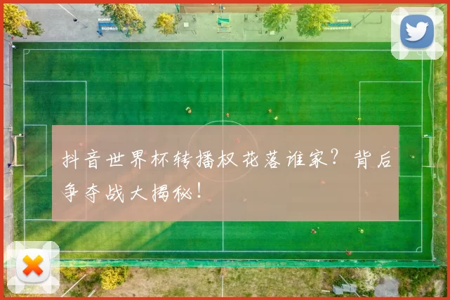 抖音世界杯转播权花落谁家？背后争夺战大揭秘！