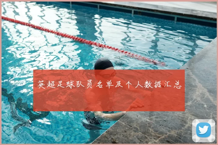 英超足球队员名单及个人数据汇总