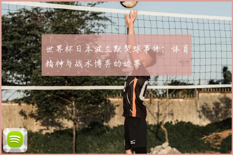 世界杯日本波兰默契球事件：体育精神与战术博弈的边界